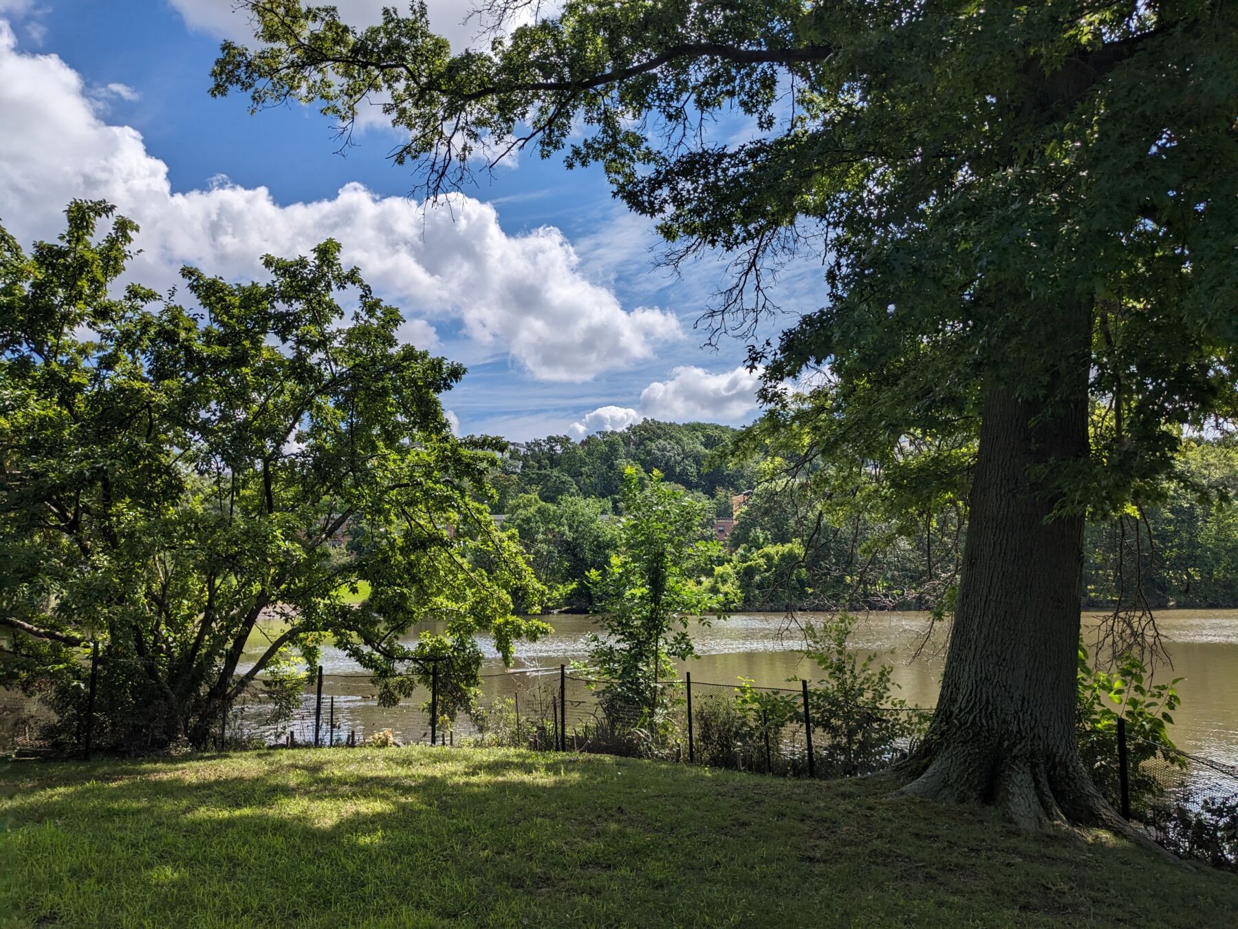A nature scene at the edge of a river. A calm blue river flows in the distance. In the foreground, green grass and trees frame the bright blue sky.