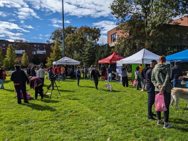 An outdoor community gathering is happening on a sunny day on a bright green lawn. Small tents dot the perimeter, under which vendors and sponsors are stationed to connect with community members. People and their dogs socialize on the lawn, engaging in conversation and laughter. 